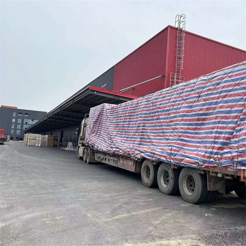 李沧区墨脱县：物流专线的多元货运服务